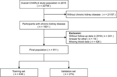Development and validation of prediction model for fall accidents among chronic kidney disease in the community